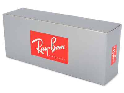 Ochelari de soare Ray-Ban RB4181 - 601/9A POL - Original box
