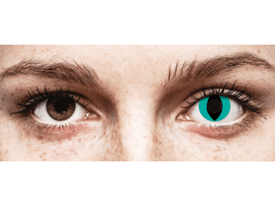 CRAZY LENS - Cat Eye Aqua - lentile zilnice fără dioptrie (2 lentile)