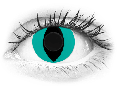 CRAZY LENS - Cat Eye Aqua - lentile zilnice fără dioptrie (2 lentile)