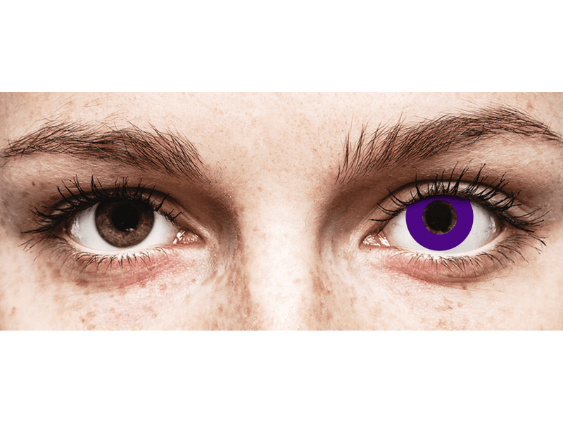 CRAZY LENS - Solid Violet - lentile zilnice fără dioptrie (2 lentile)