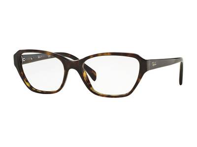 Ray-Ban RX5341 2012 